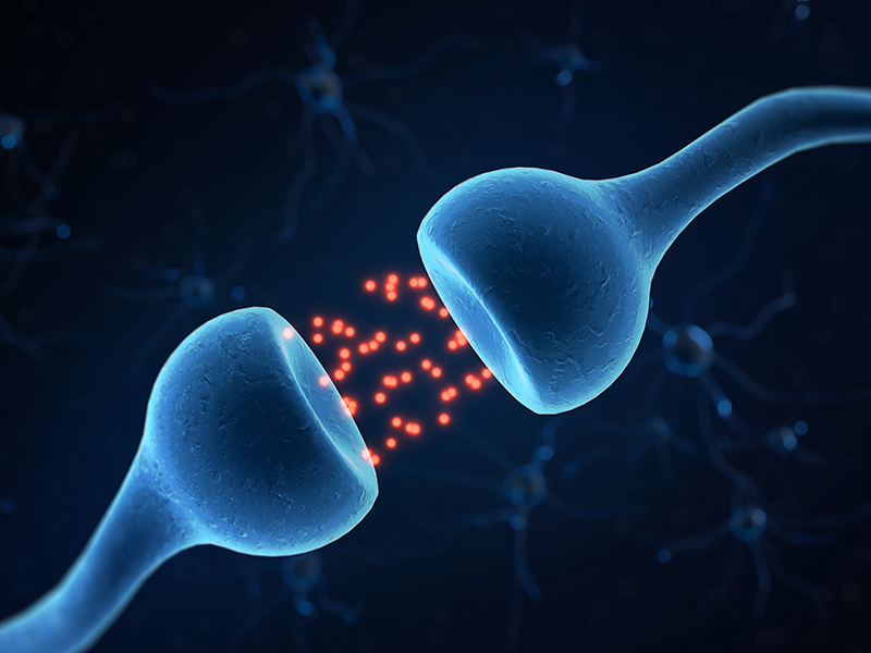 非小細胞肺癌個體化用藥基因檢測